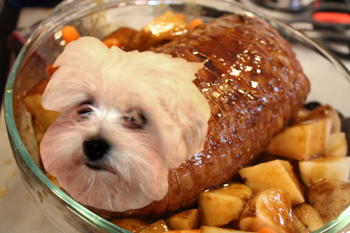 roast_dog_with_potatoes_by_mastoin-d8v37uv.png