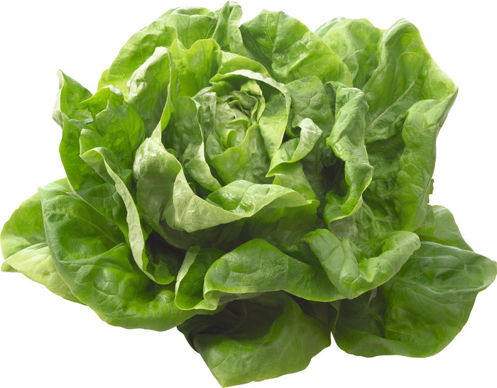 Salat-201020463468.jpg