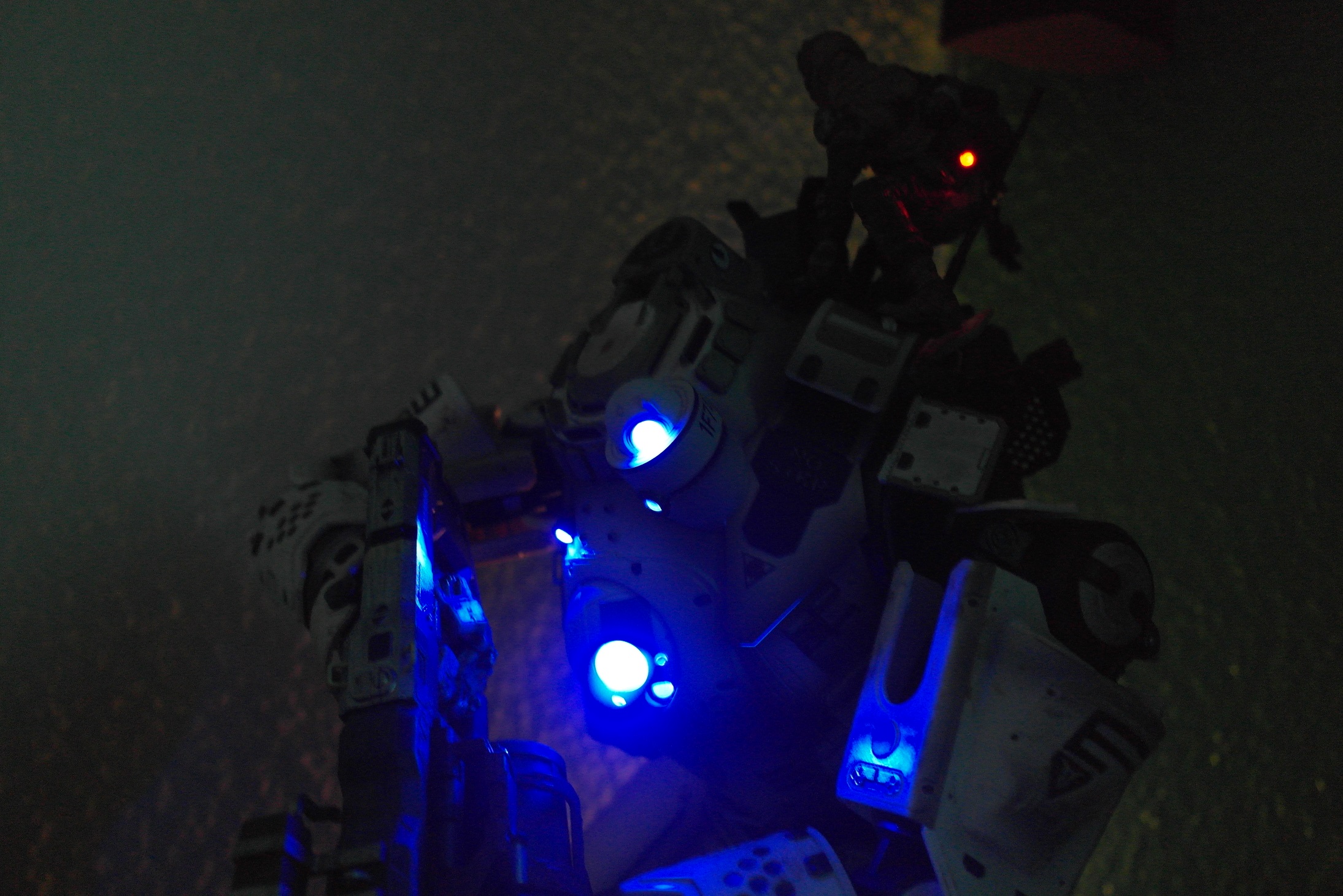 SAM_3217.JPG