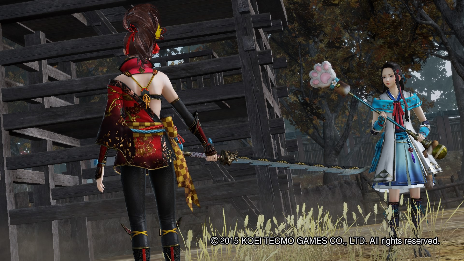 SAMURAI WARRIORS 4-Ⅱ_20151014203217.jpg