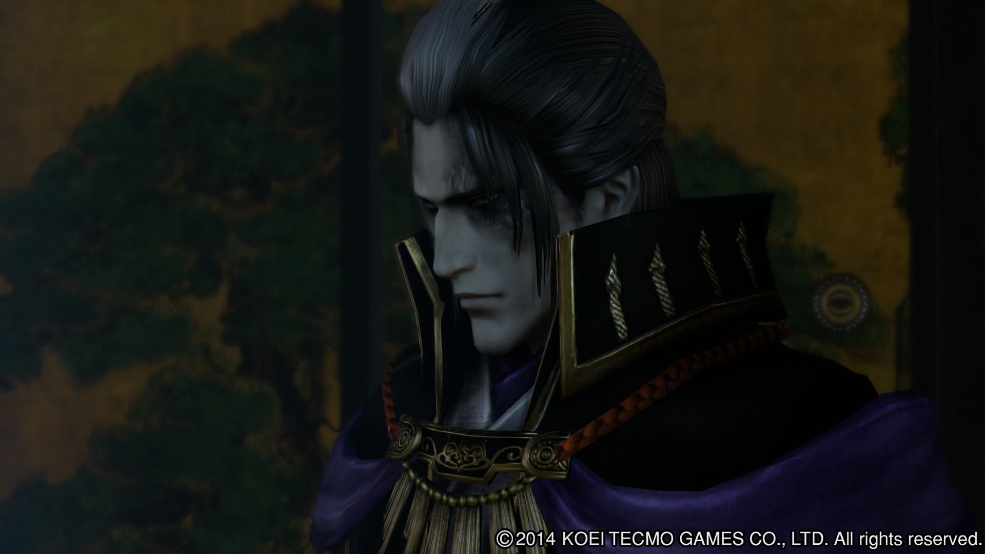SAMURAI WARRIORS 4_20150608231901.jpg