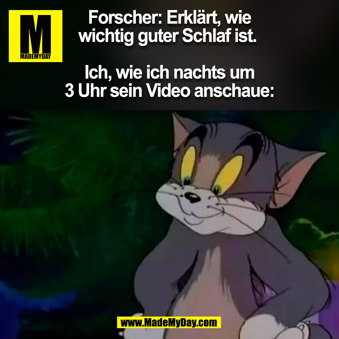 schlaf drei uhr tom cat.png