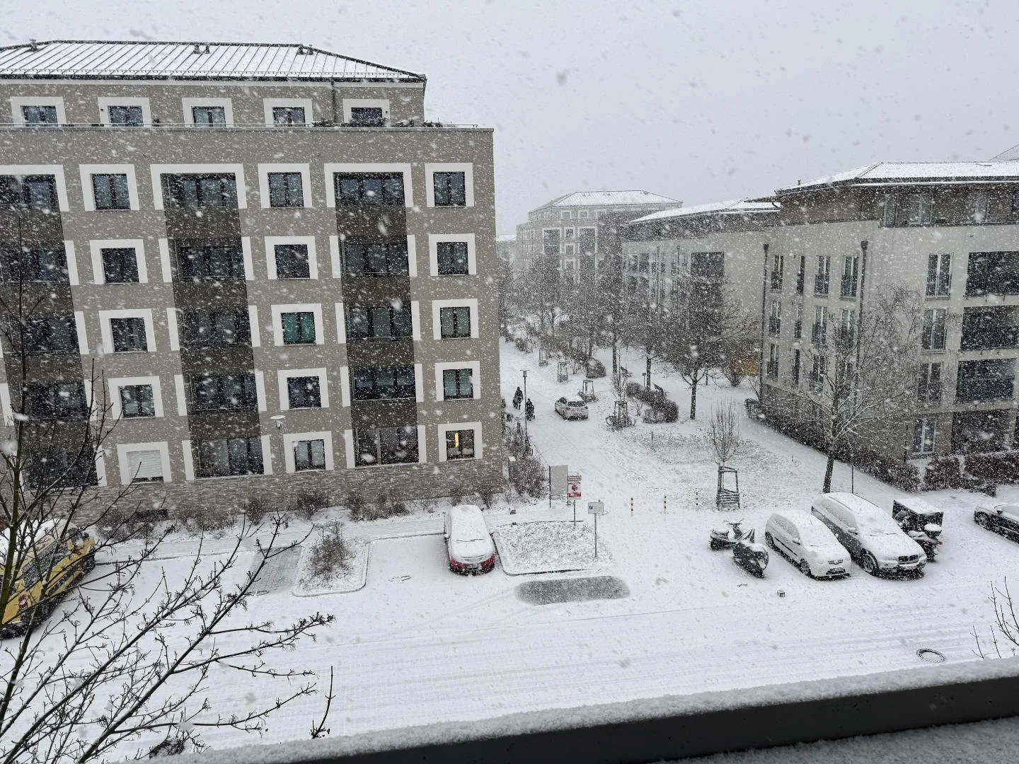 Schnee.webp