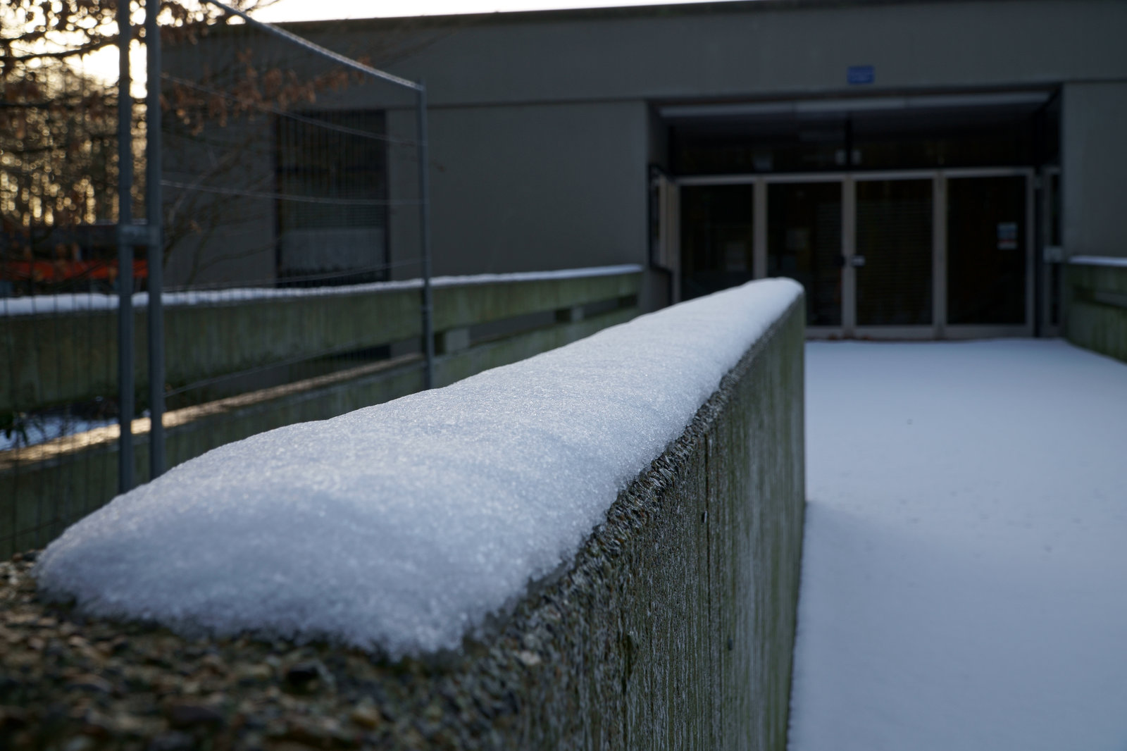Schneefokus.jpg