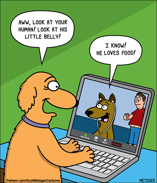 scott metzger - human belly.jpg