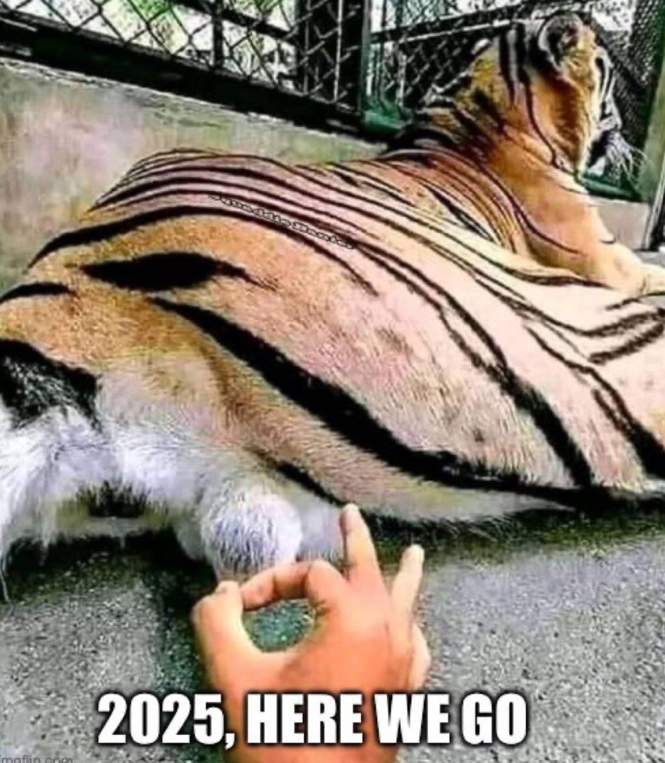 Screenshot 2025-01-01 172526.jpg