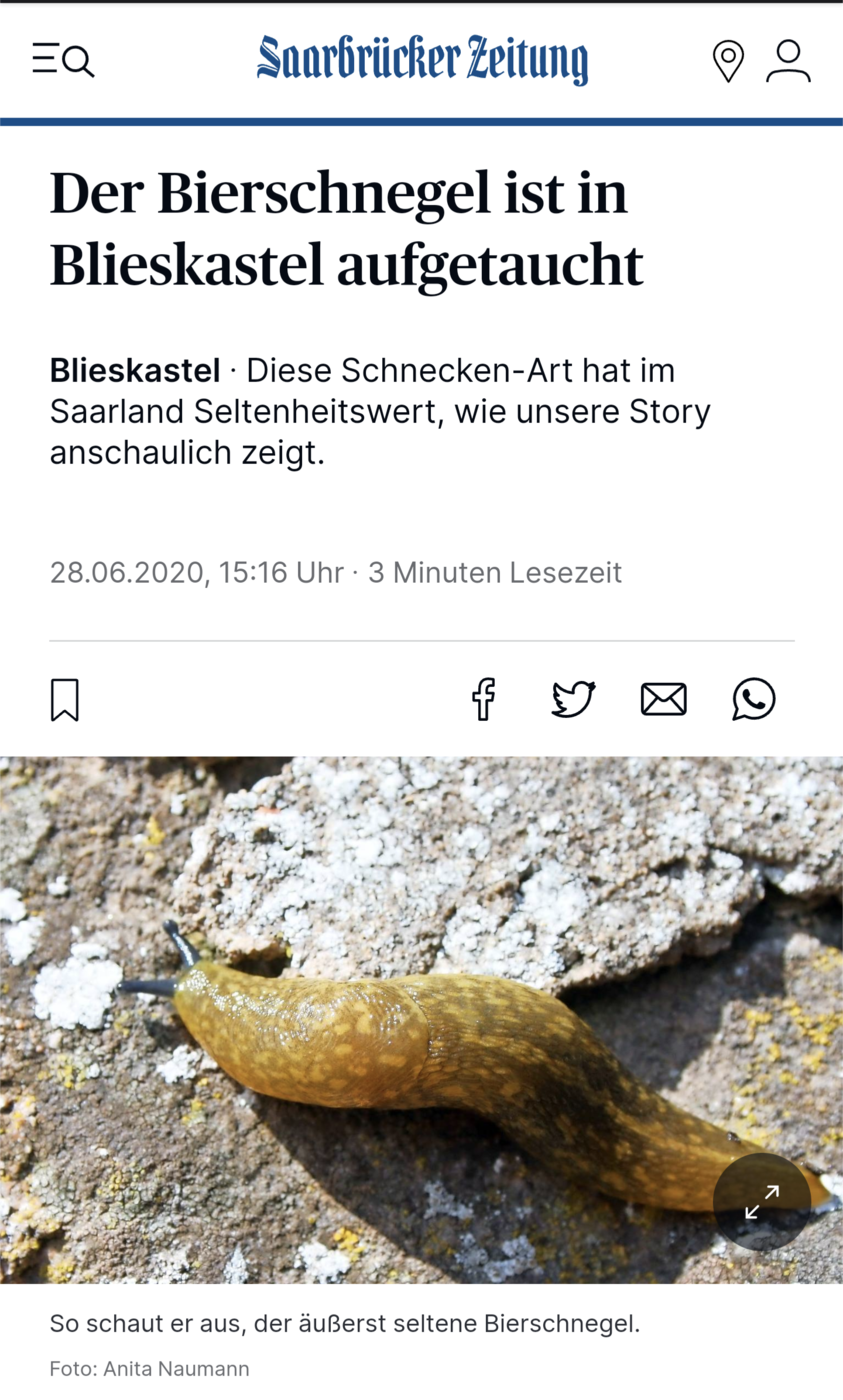 Screenshot_20230818-143635.png