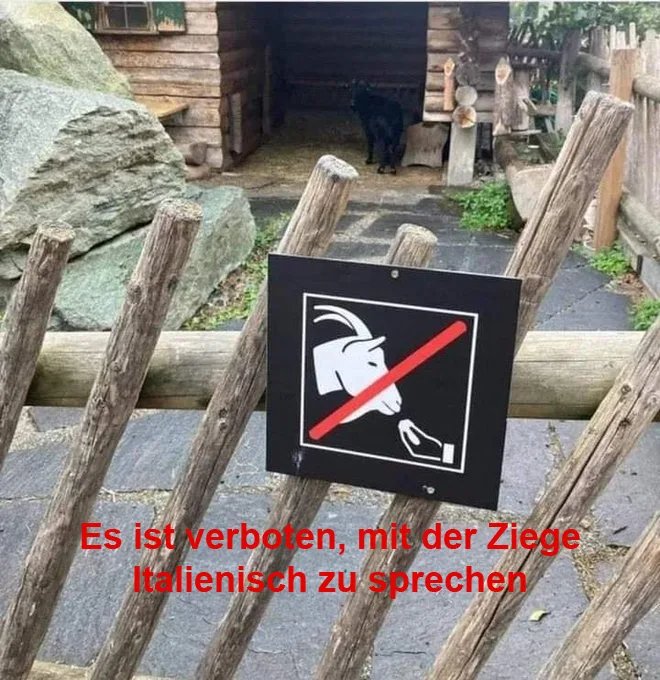 Scusi.jpg