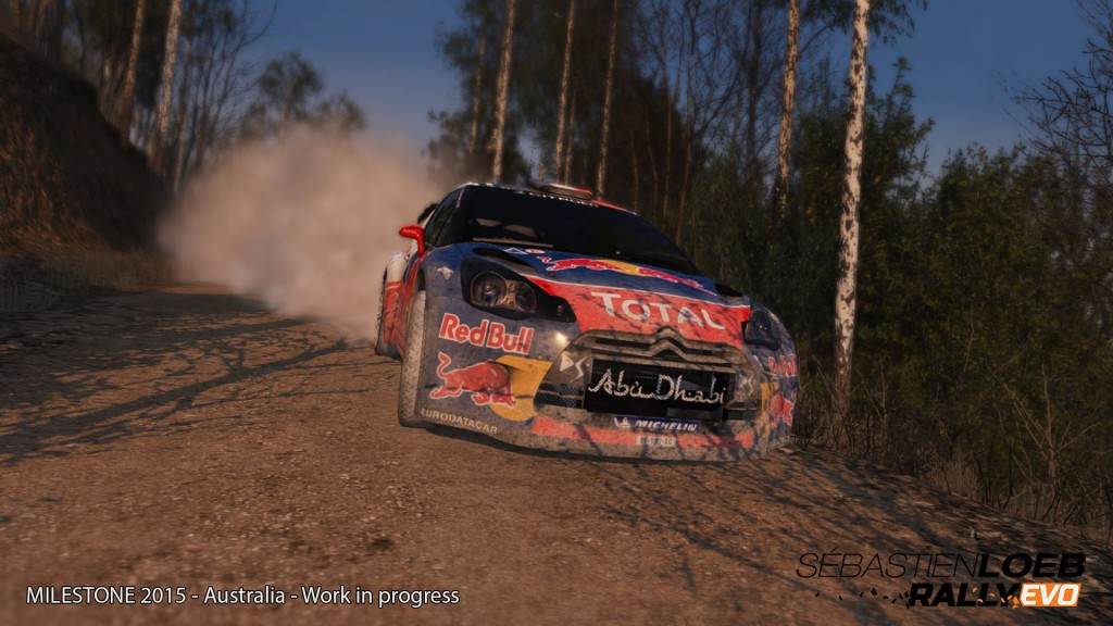 Sebastien-Loeb-Rally-Evo-Bild-1.jpg