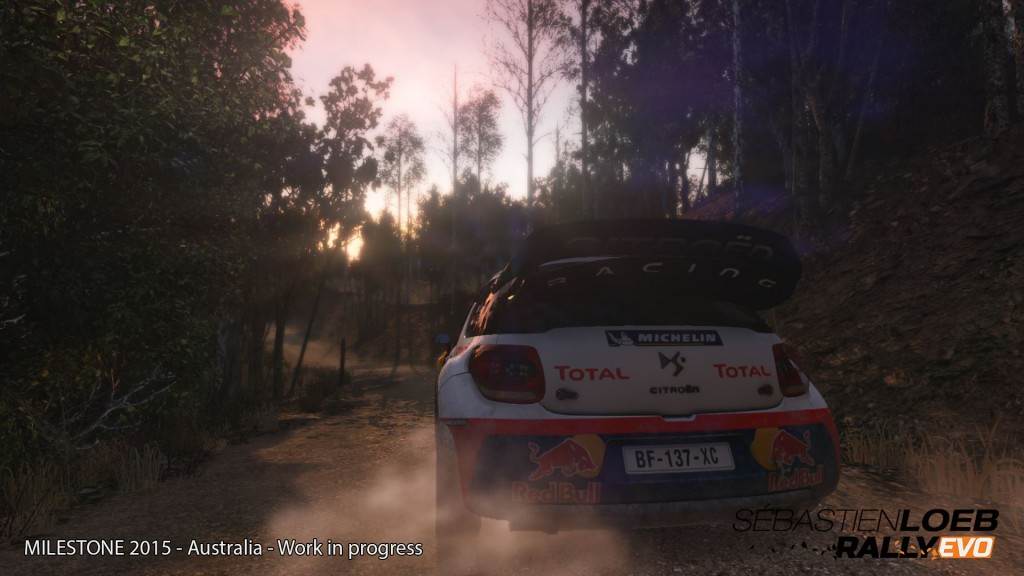 Sebastien-Loeb-Rally-Evo-Bild-5.jpg