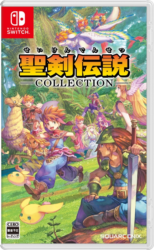 seiken-switch-1.jpg