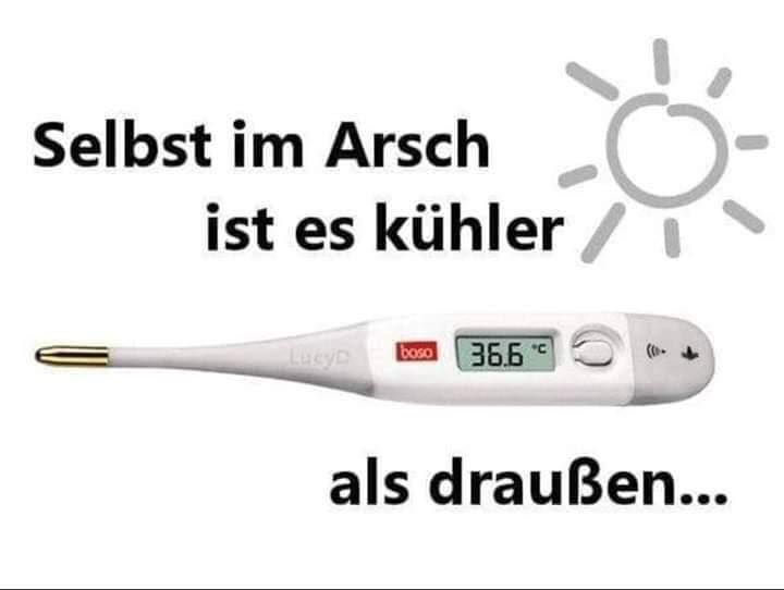 selbst im arsch.jpg