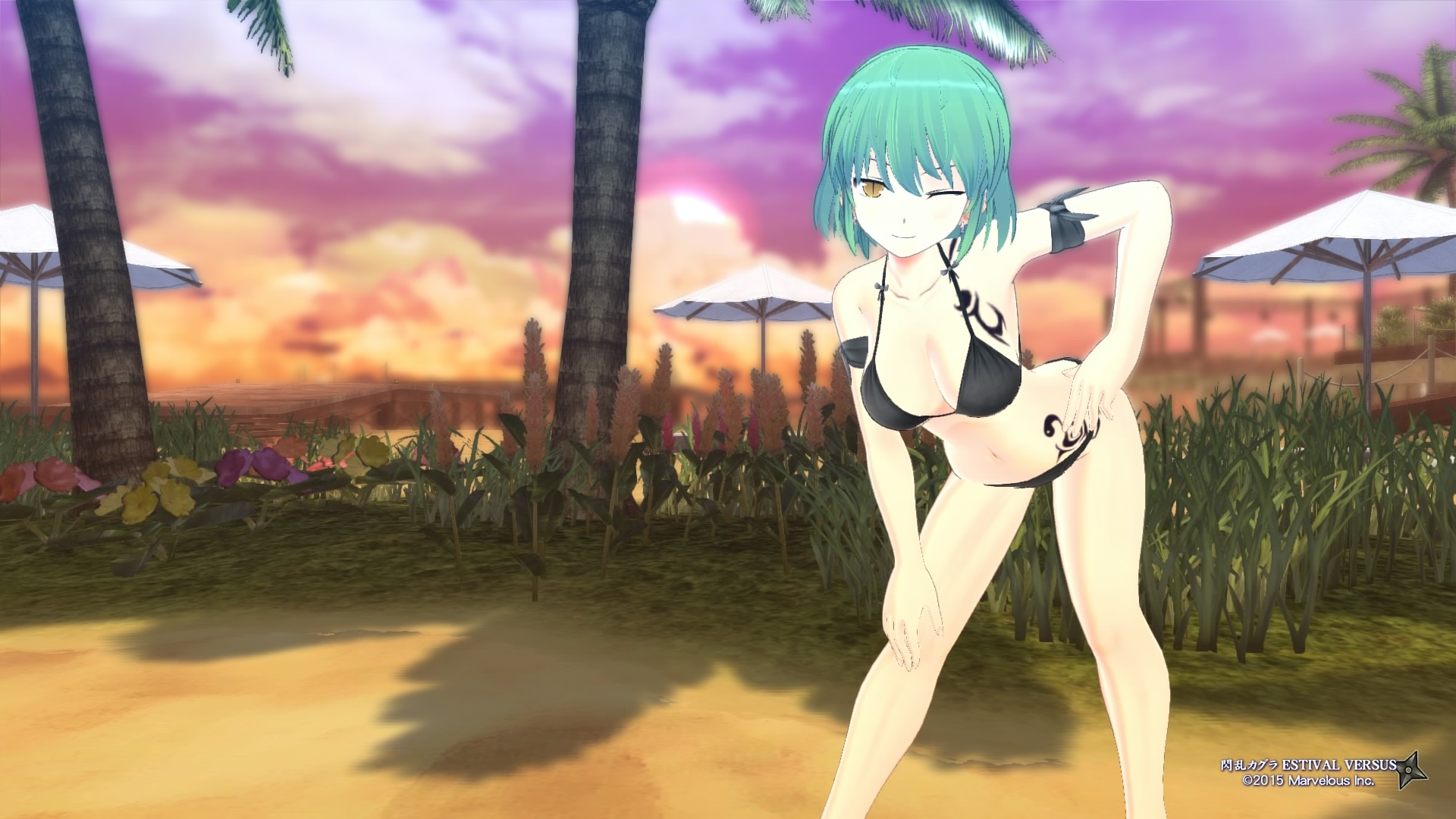 Senran Kagura ESTIVAL VERSUS_20150415173851.jpg