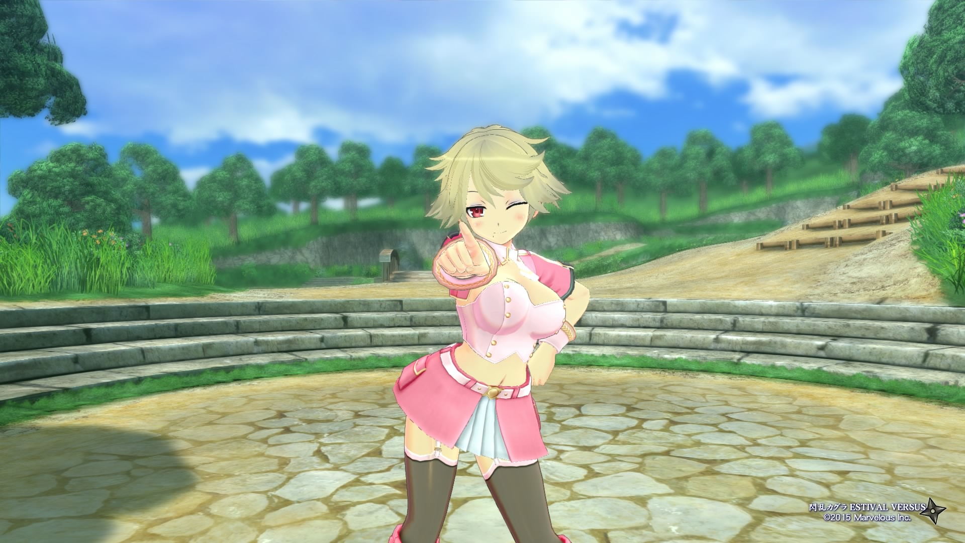Senran Kagura ESTIVAL VERSUS_20150416020425.jpg