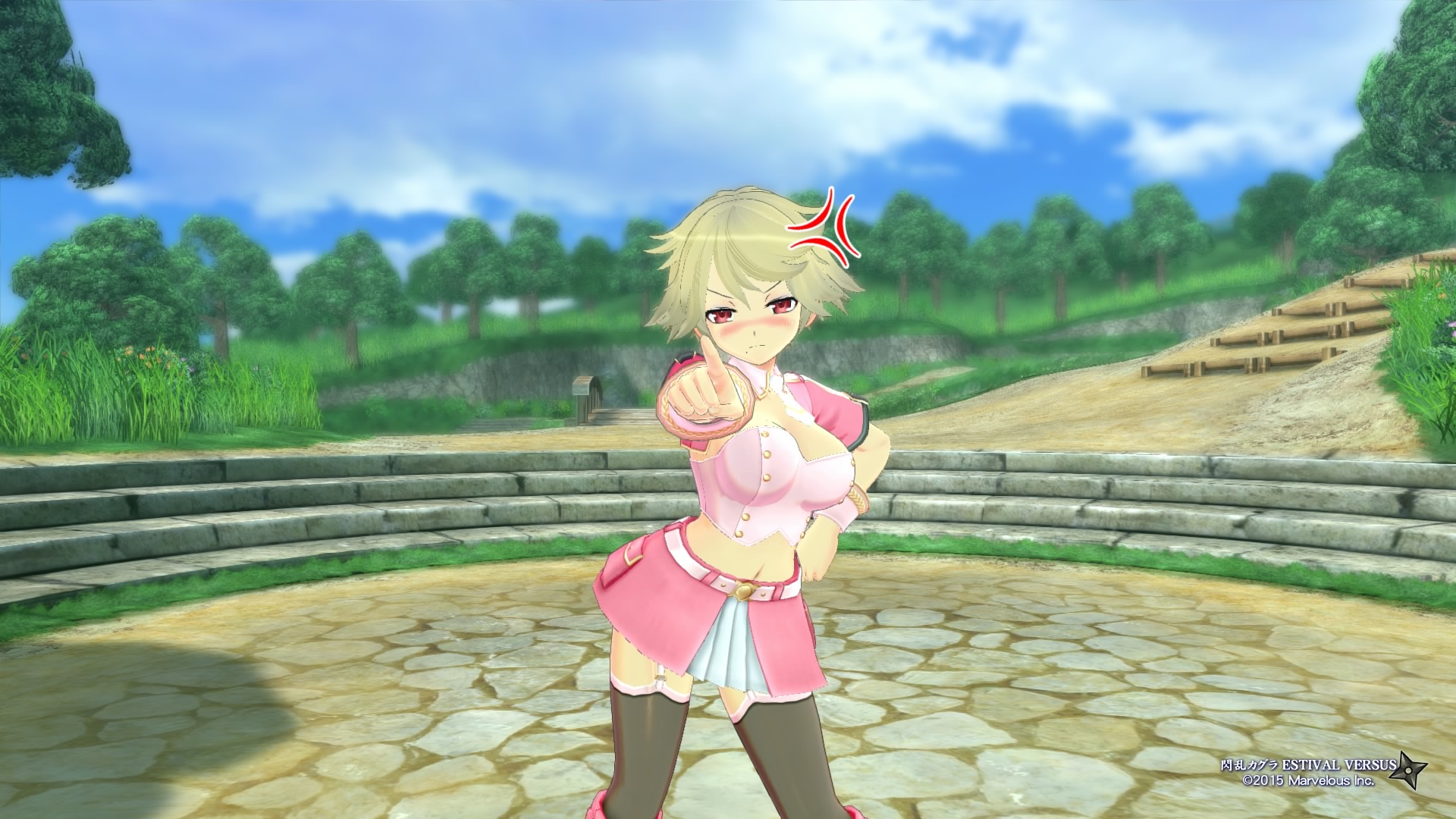 Senran Kagura ESTIVAL VERSUS_20150416020519.jpg