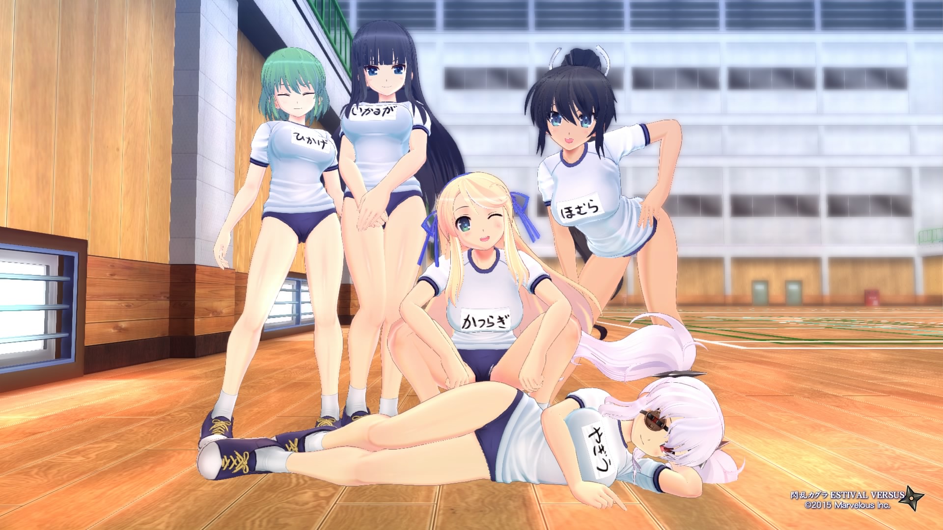 Senran Kagura ESTIVAL VERSUS_20150422034522.jpg