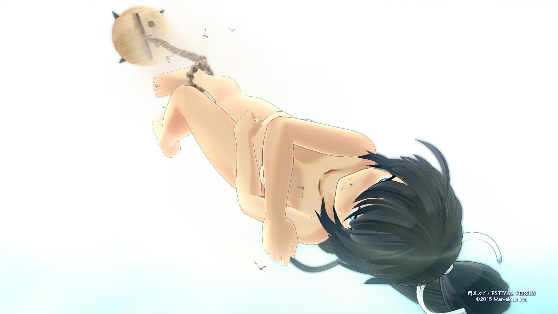 Senran Kagura ESTIVAL VERSUS_20150428223409.jpg