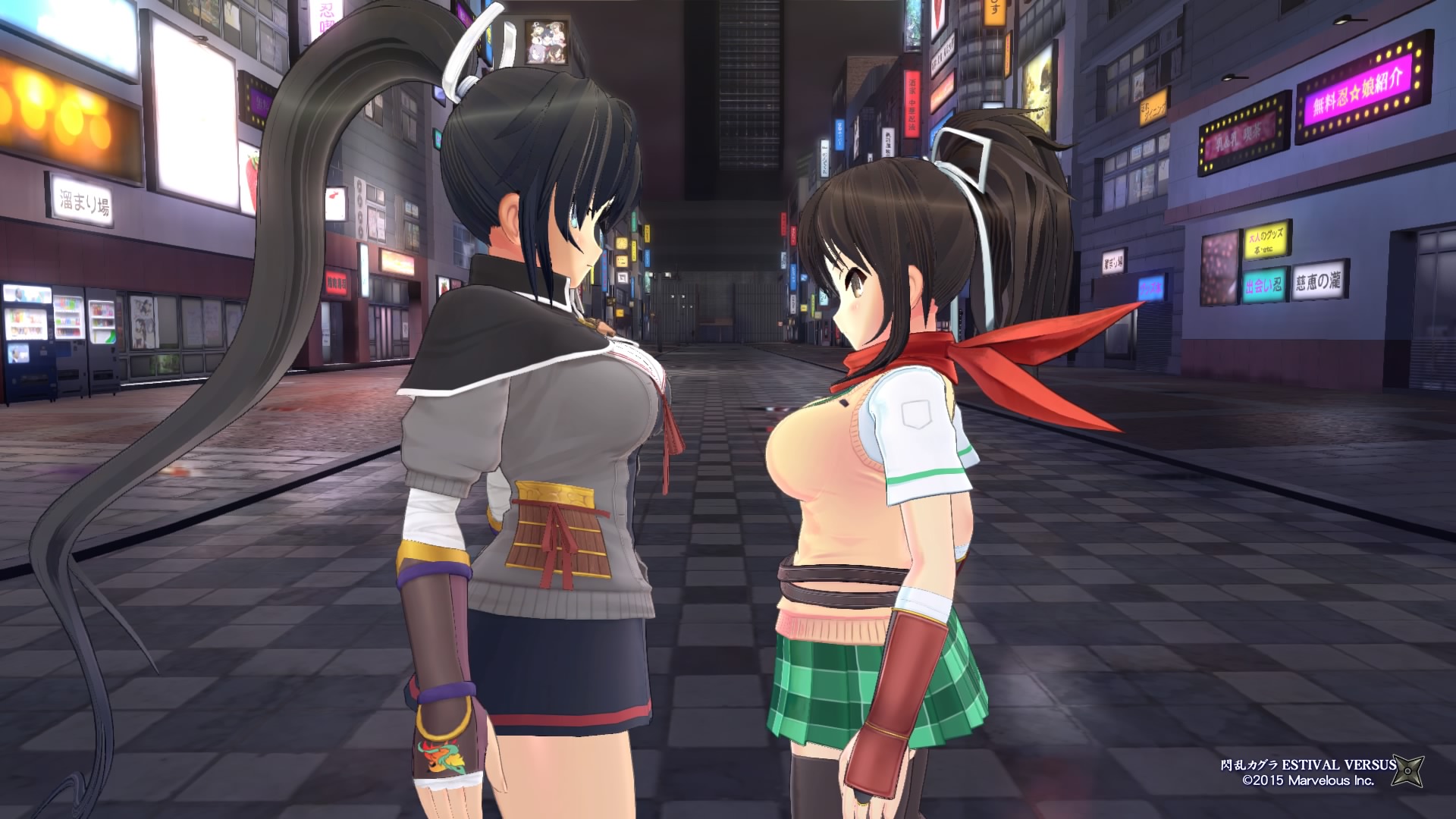 Senran Kagura ESTIVAL VERSUS_20150429002109.jpg