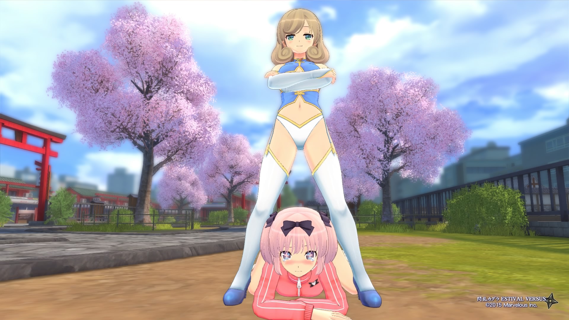 Senran Kagura ESTIVAL VERSUS_20150429003210.jpg