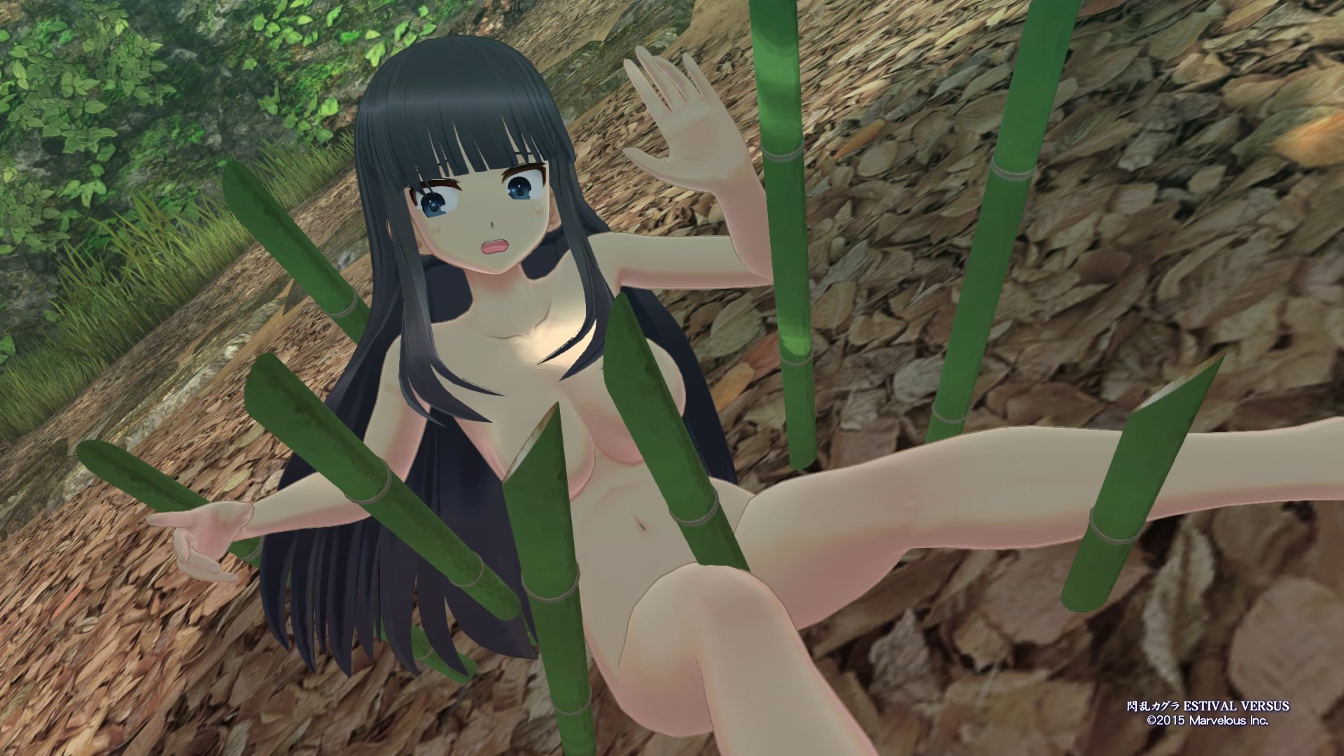 Senran Kagura ESTIVAL VERSUS_20151016115325.jpg