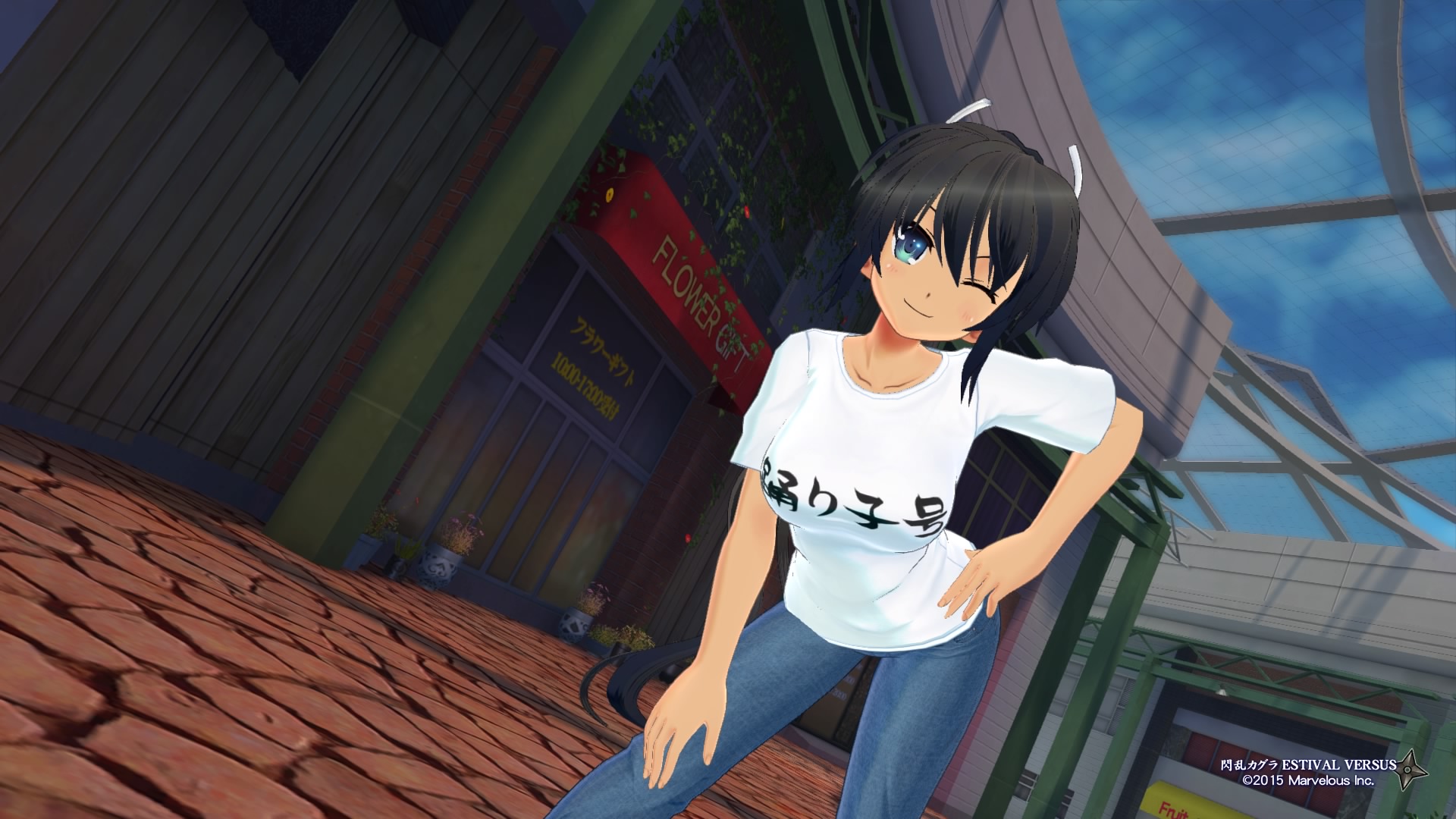 Senran Kagura ESTIVAL VERSUS_20160108041053.jpg
