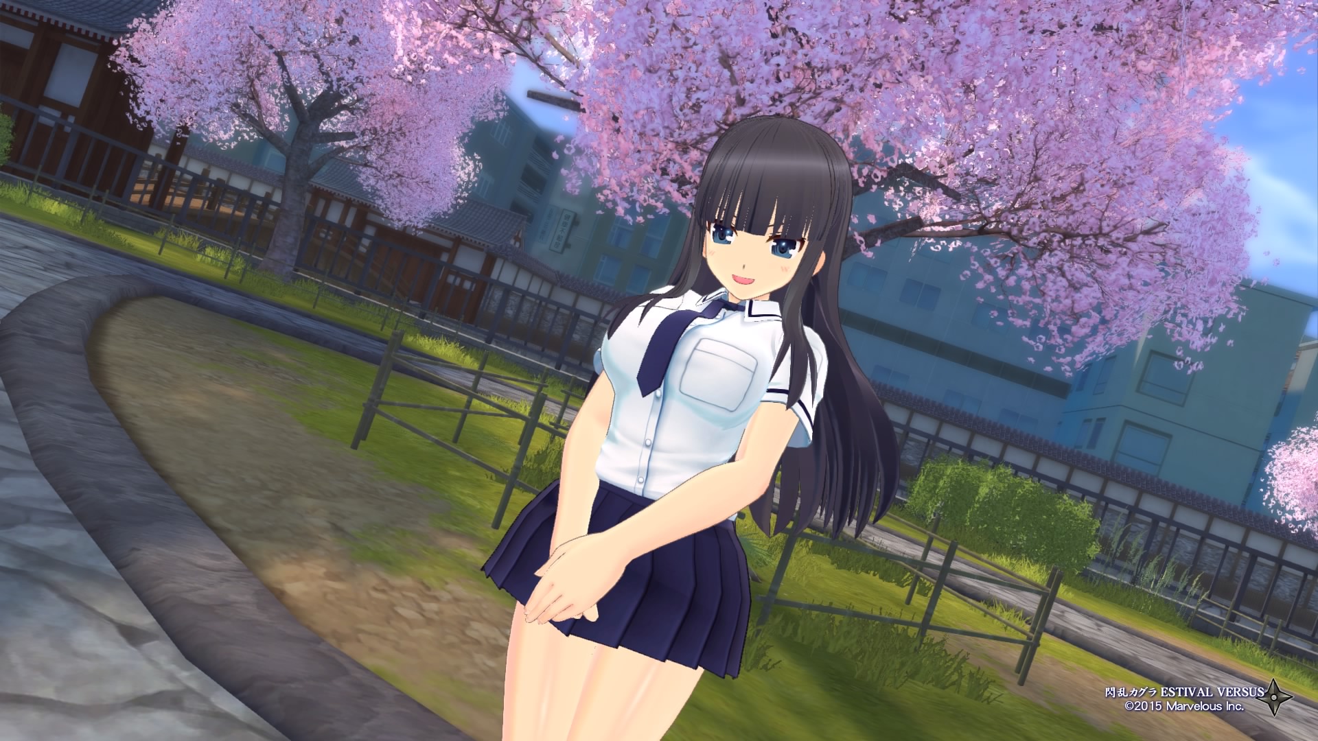 Senran Kagura ESTIVAL VERSUS_20160108185216.jpg