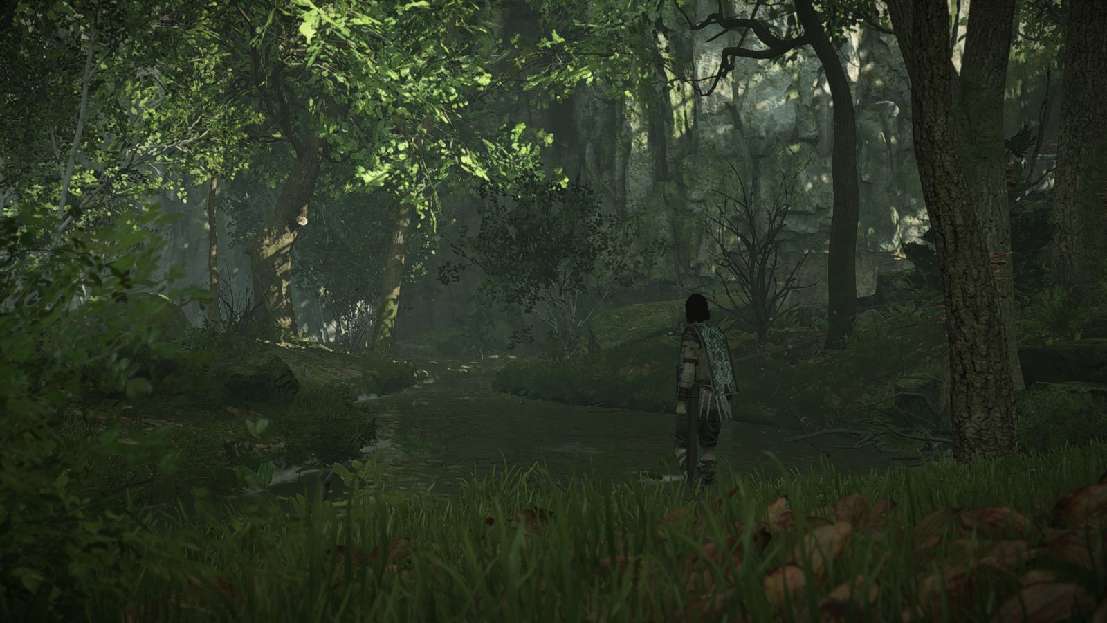 SHADOW OF THE COLOSSUS™_20190509205653.jpg