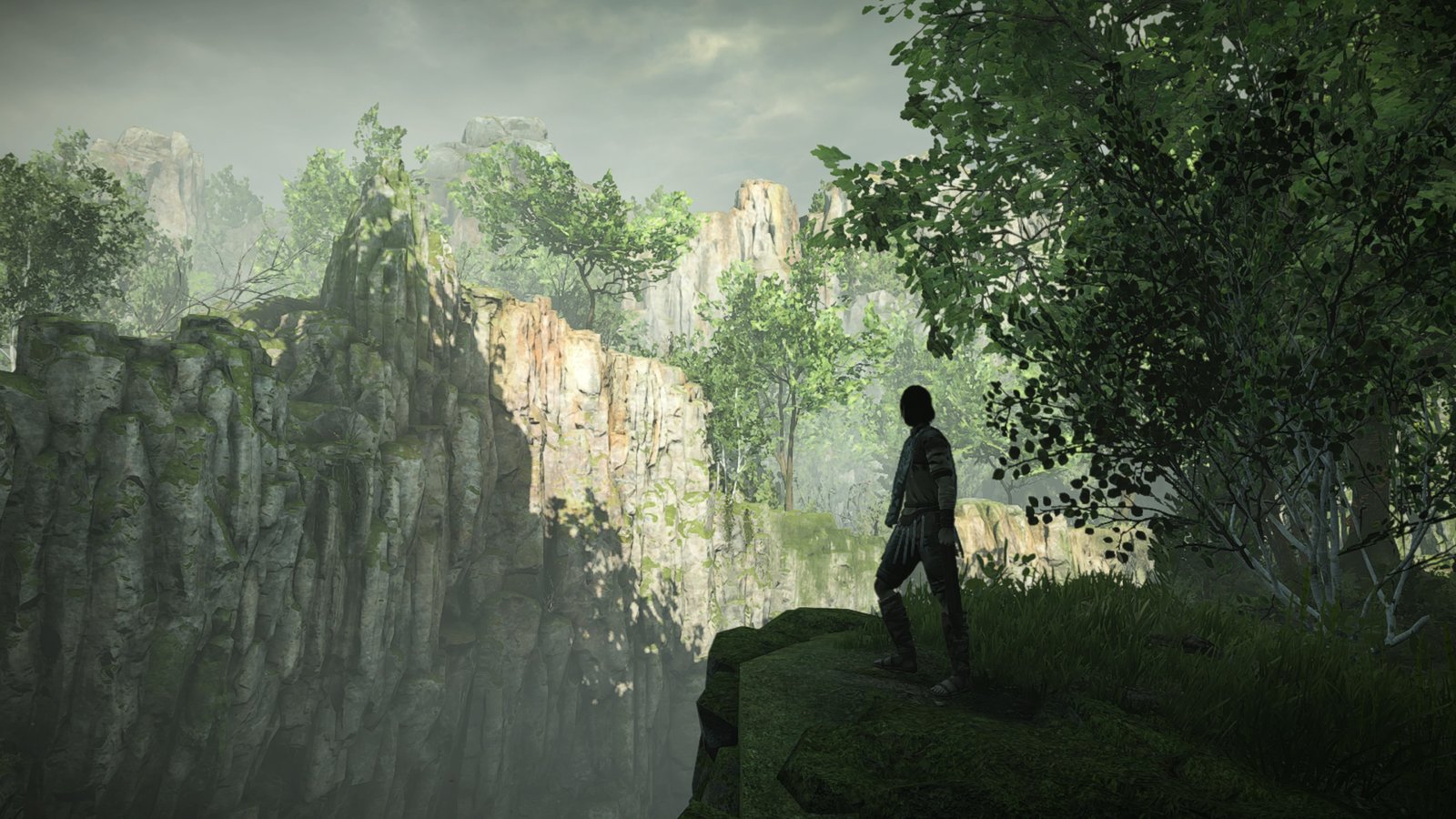 SHADOW OF THE COLOSSUS™_20190509210347.jpg