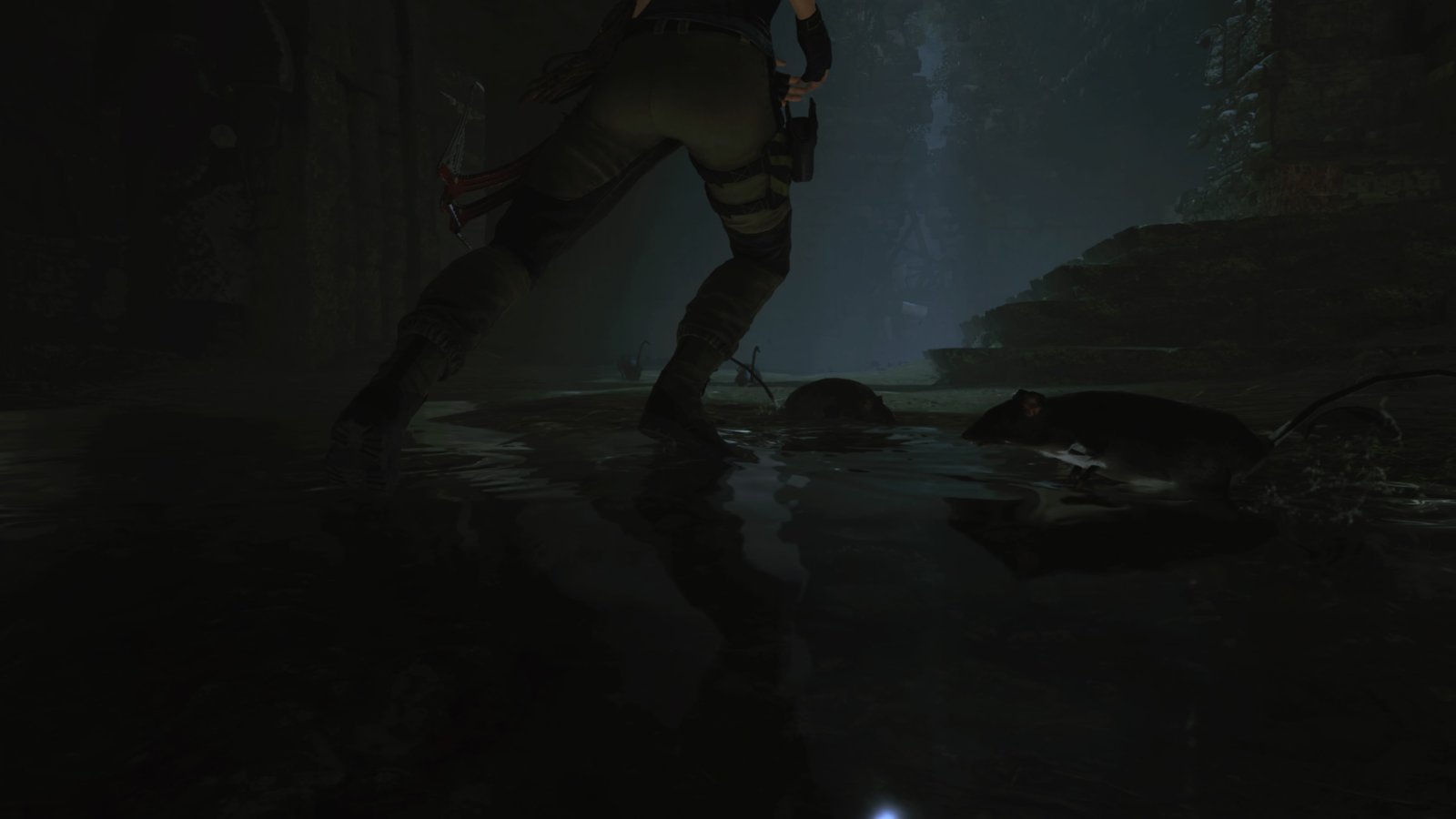 Shadow of the Tomb Raider_499.jpg
