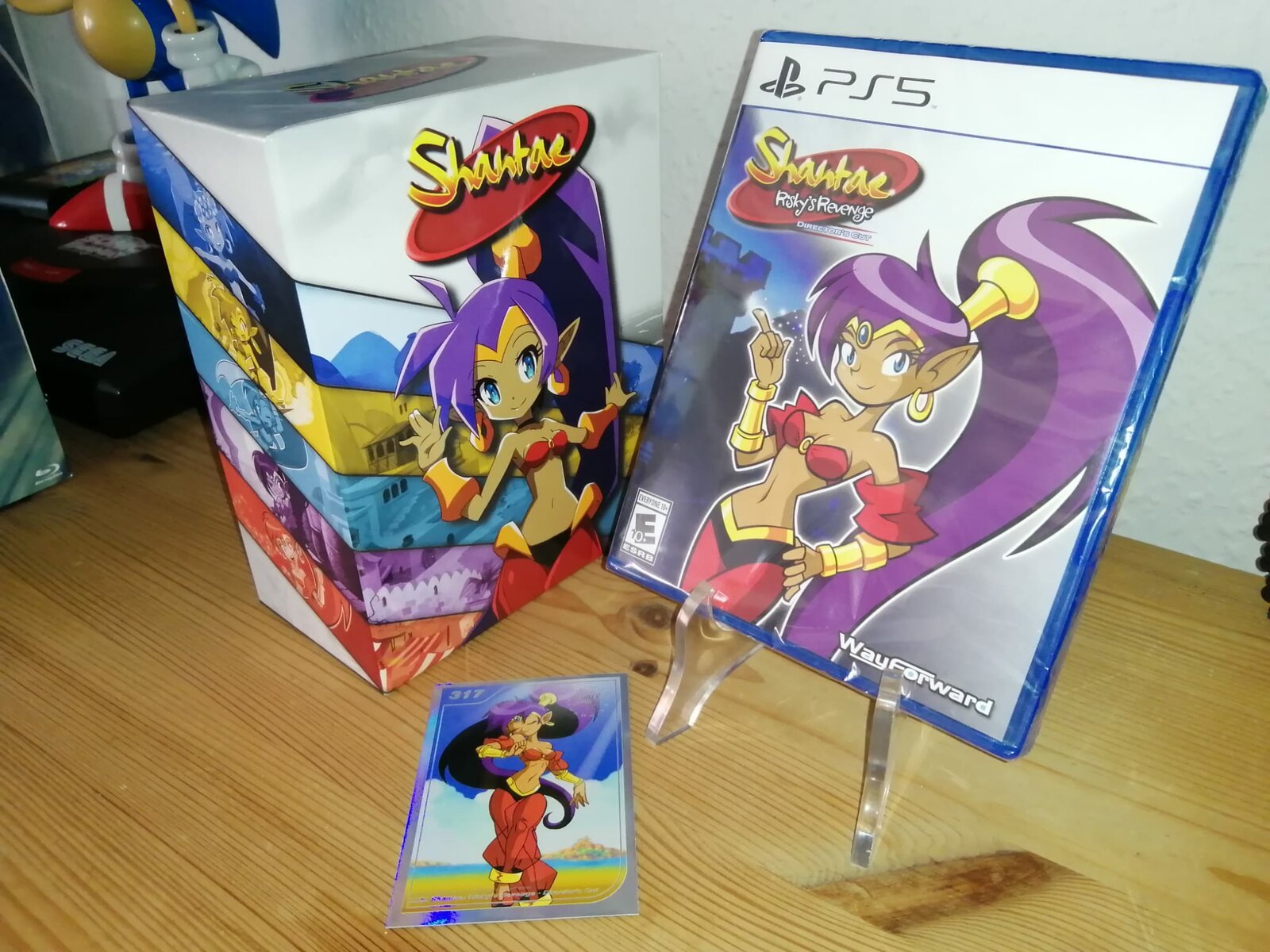 shantae riskys revenge box.jpg