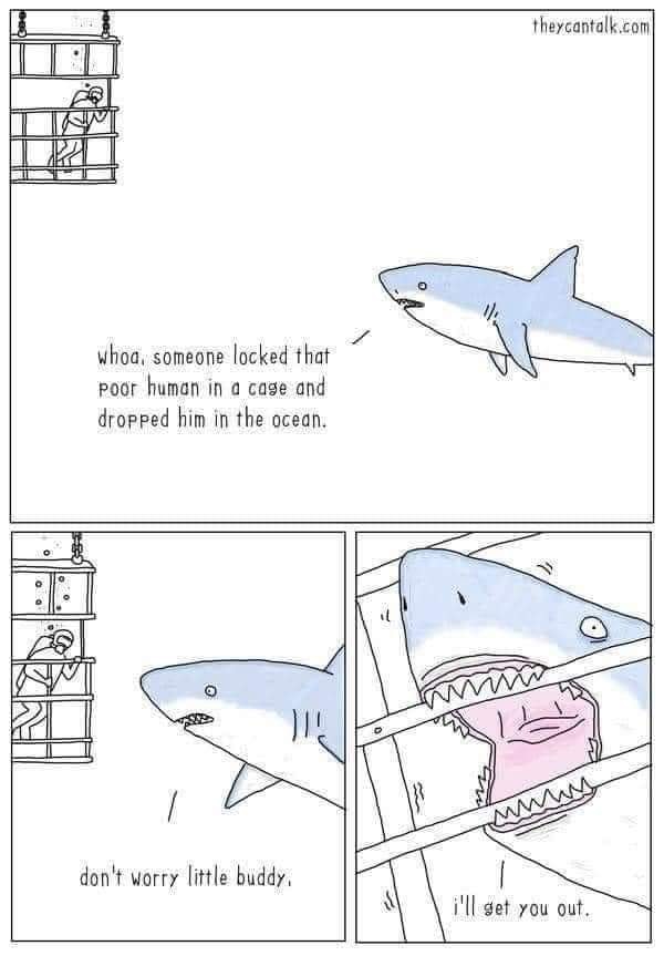 shark cage.jpg