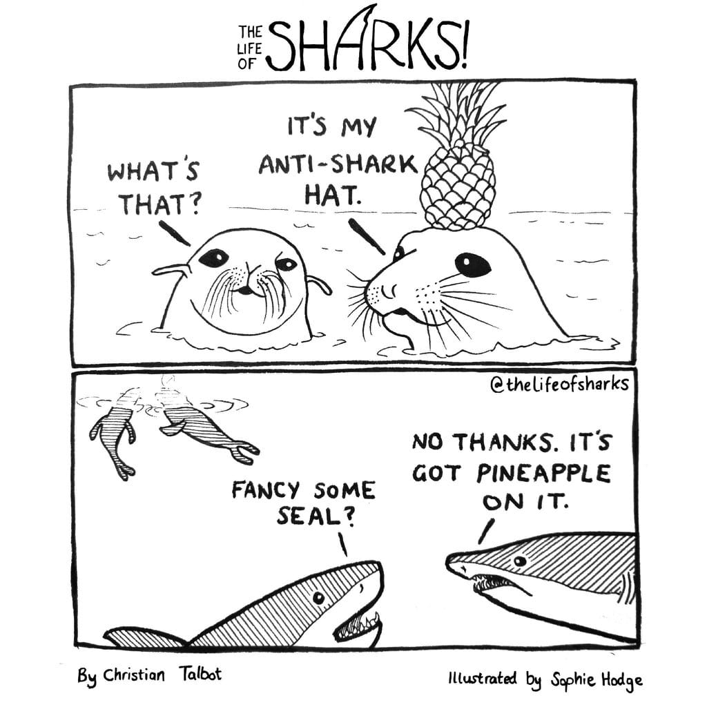 shark seal pineapple.jpg