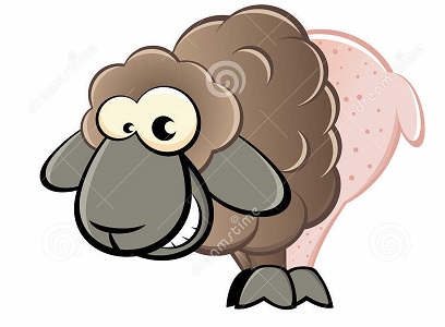 sheep1.jpg