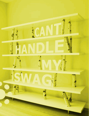 shelf.gif