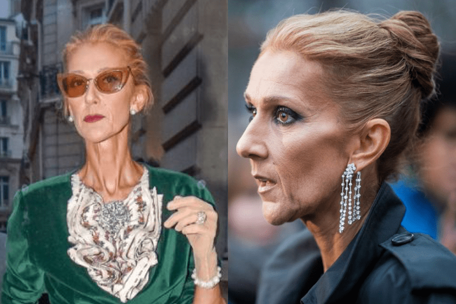 Singer-Celine-Dion-Slams-Body-Shamers-After-Weight-Loss.png