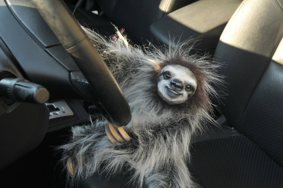 sloth_drives_your_car_by_mooki003-d4r7svm.jpg