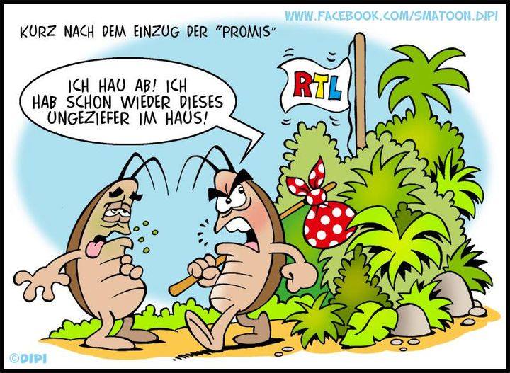 Smartoon - Dschungelcamp.jpg