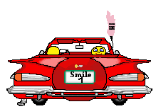 smilie_car_169.gif