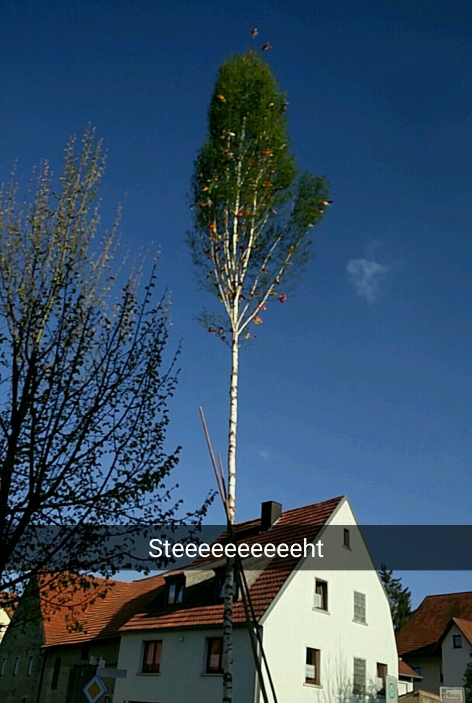 Snapchat-472365923_01.jpg