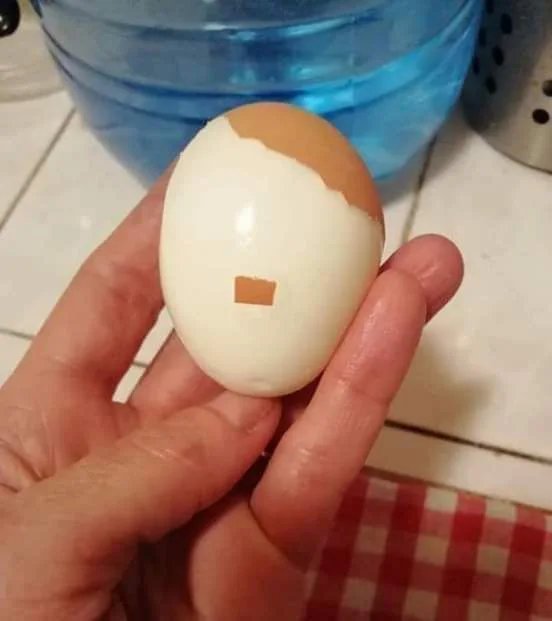 Something-suspicious-about-this-egg.jpg