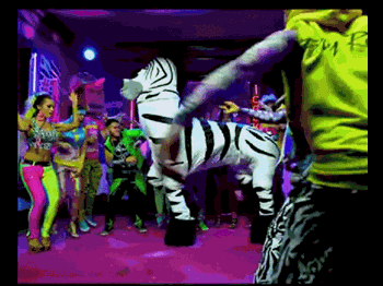 sorryforpartyrocking.gif