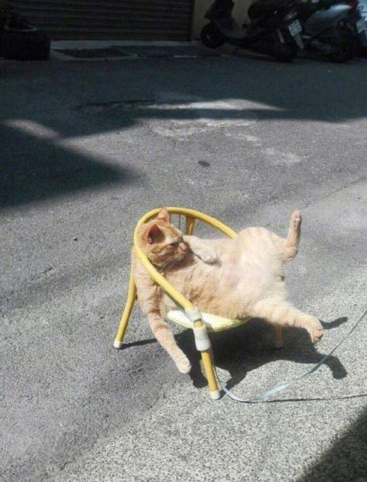 spassprediger.com_picdump_017_048.jpg