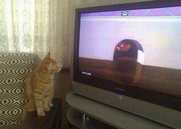 spassprediger.com_picdump_162_028.jpg