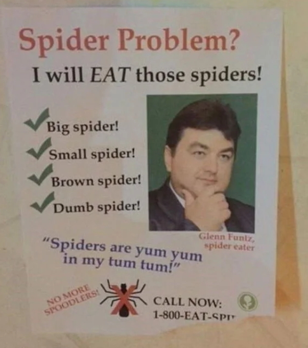 Spider.jpg