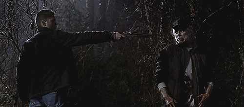 spn_2x16Shotgun.gif