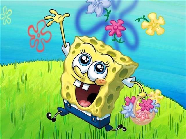 sponge.JPG