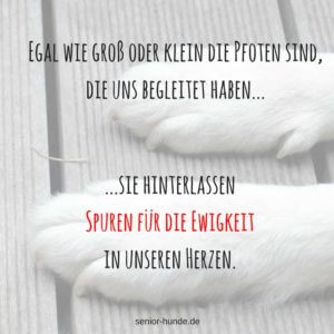 spuren_ewigkeit-300x300.jpg