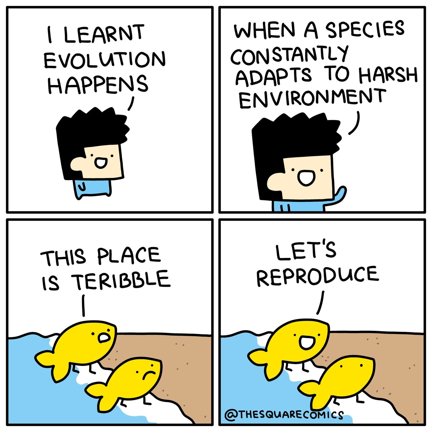 square comics - evolution.jpg