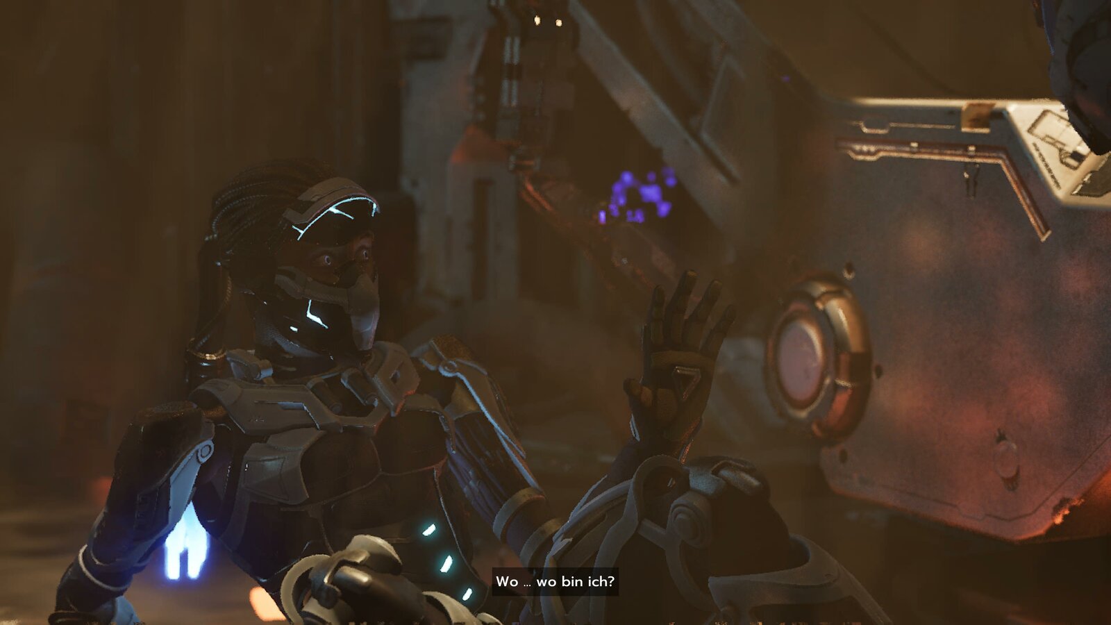 Steel Seed_20250423163324.jpg