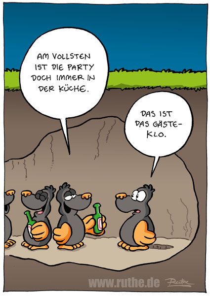 strip_1911.jpg